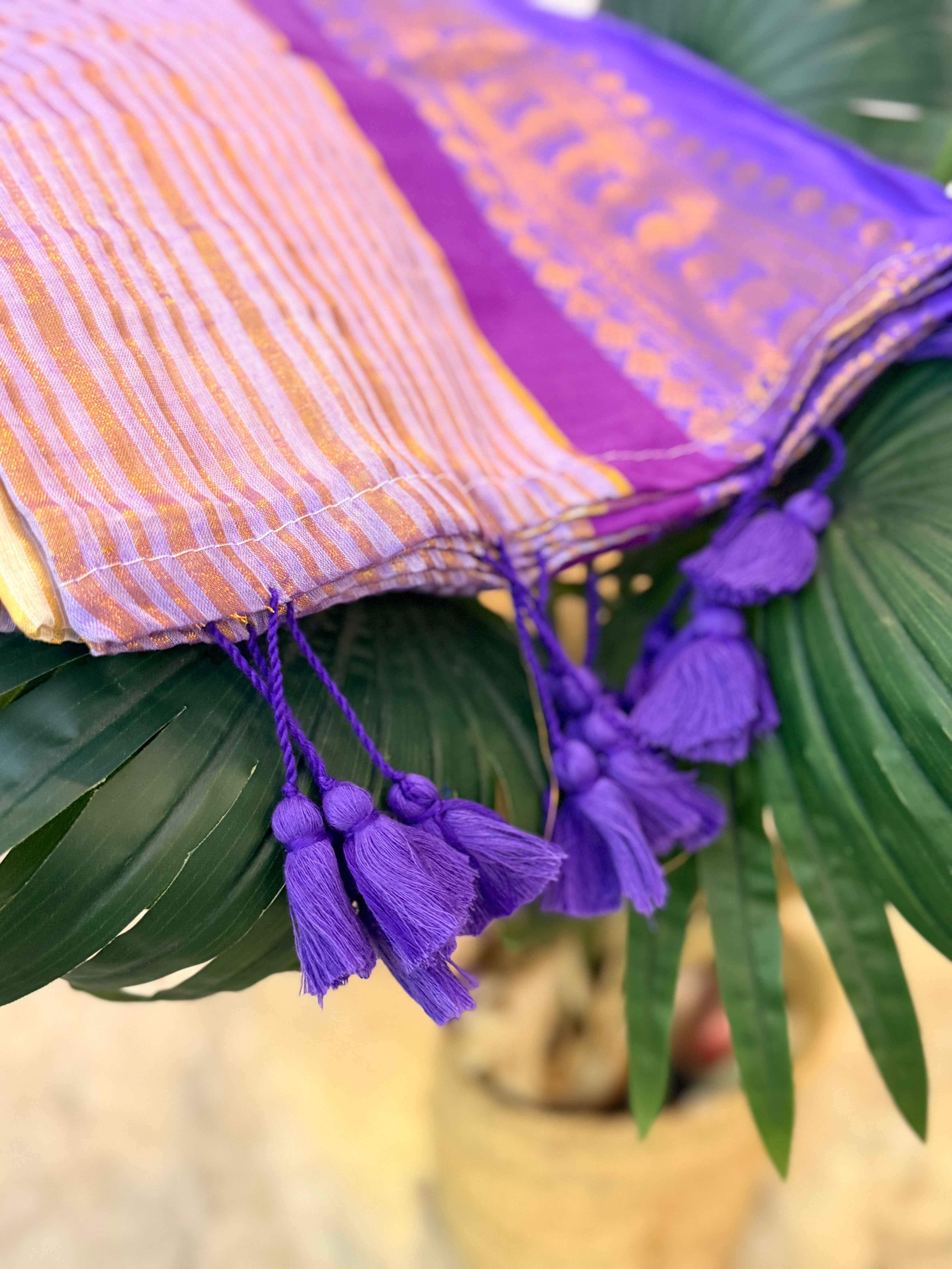 🪻 Ishvika ~ Premium Pure Mulcotton saree